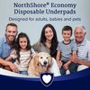 Northshore Economy Disposable Underpads, Blue, Small, 17x24", 70PK 1701